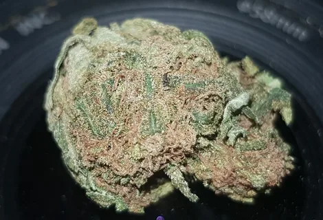 OG Kush #3