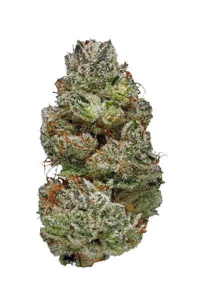 Alien Dawg #3