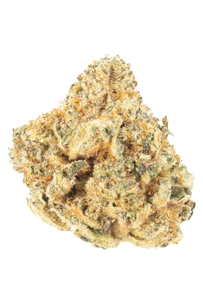 Biscotti (Exotic Top Shelf Cut)