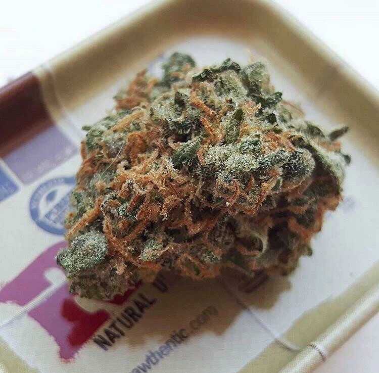 Blueberry