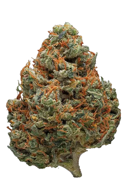 Durban Poison - Premium Wholesale Flower