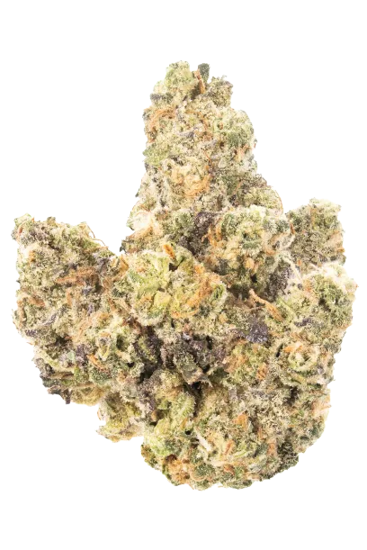 Girl Scout Cookies #3