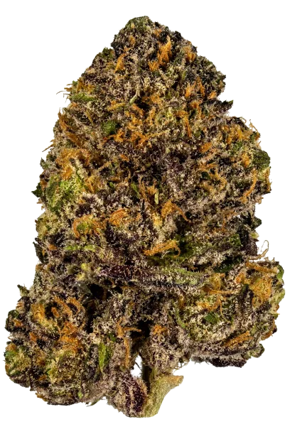 Granddaddy Purple #2