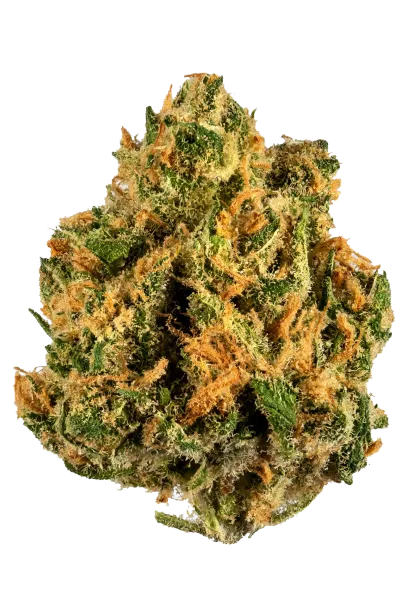 Island Sweet Skunk #2