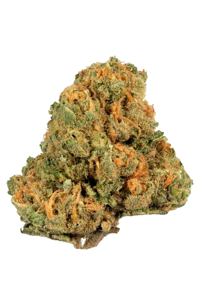 Jack Herer #3
