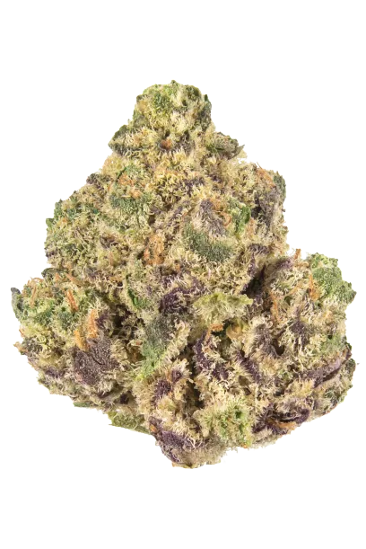 Jungle Boys Packs (3.5g Sealed)