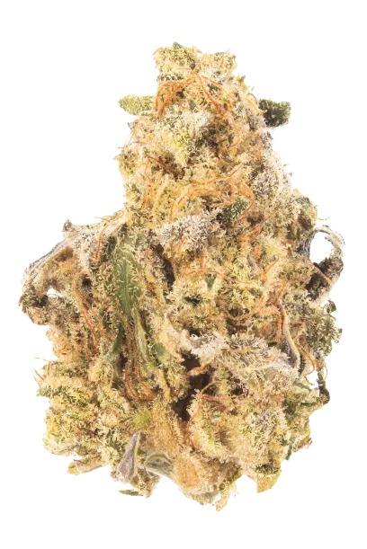 Permanent Marker - Premium Wholesale Flower