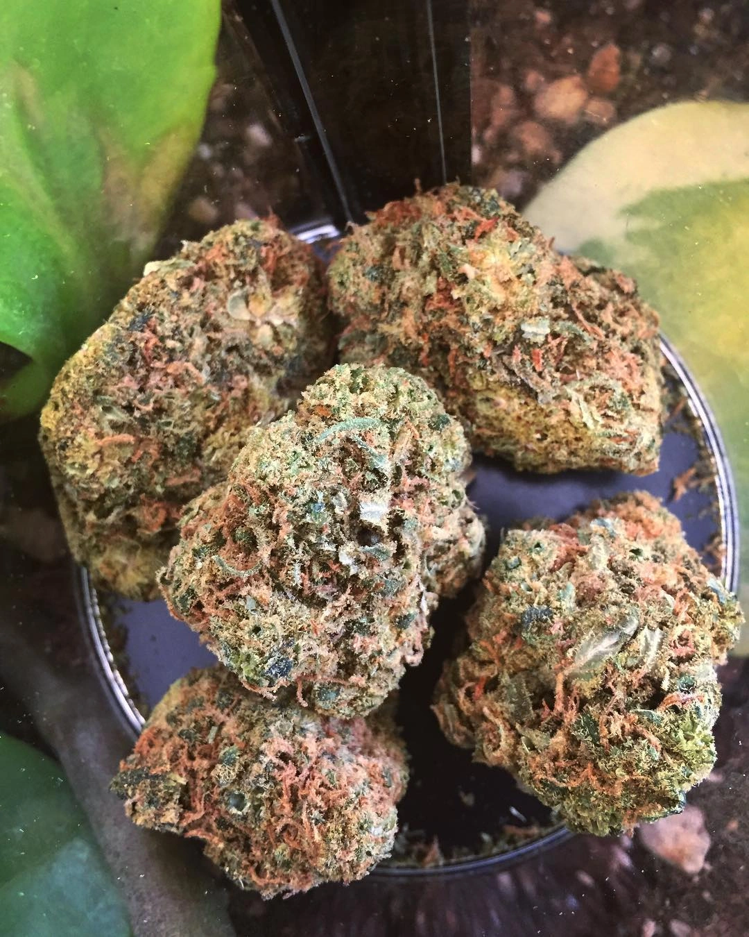 Pineapple Express #3