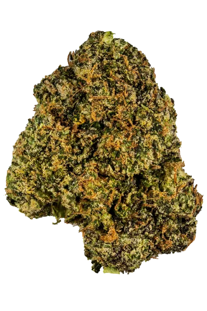 RS-11 (Rainbow Sherbert #11)