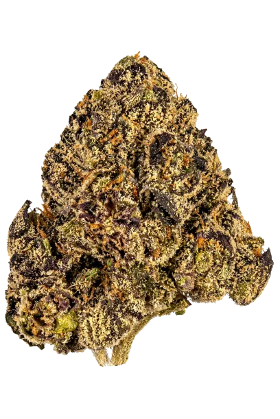 Runtz (White Runtz) - Top Shelf Flower