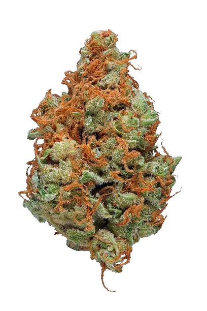 Strawberry Cough (Classic Sativa)